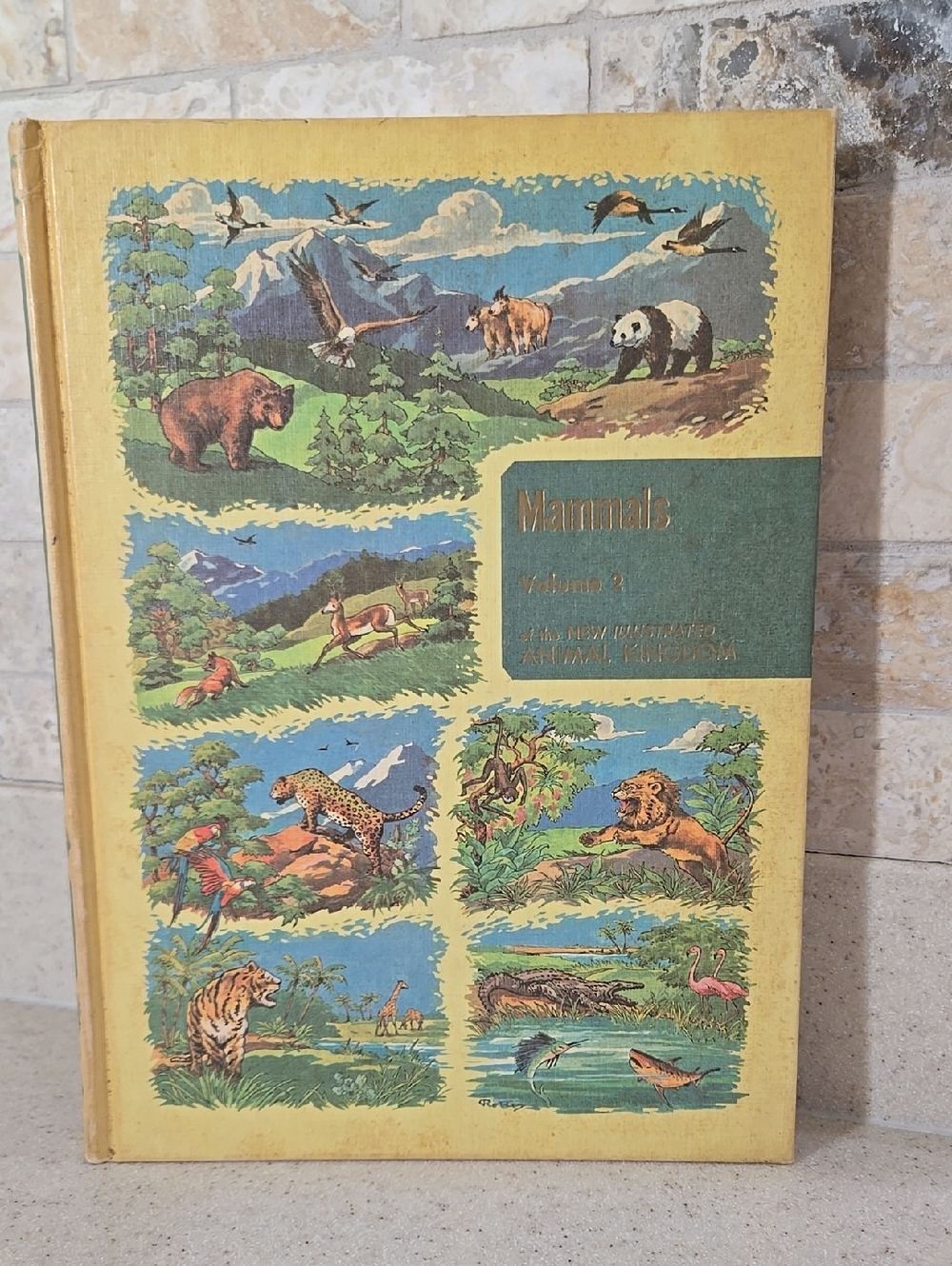 Vintage Hardcover Illustrated Encylcopedia Of Animal Life Mammals Book